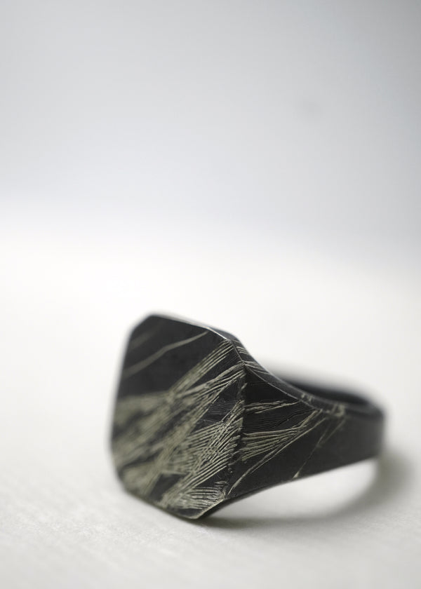 Silver Signet Ring - Signet I Silver Lining