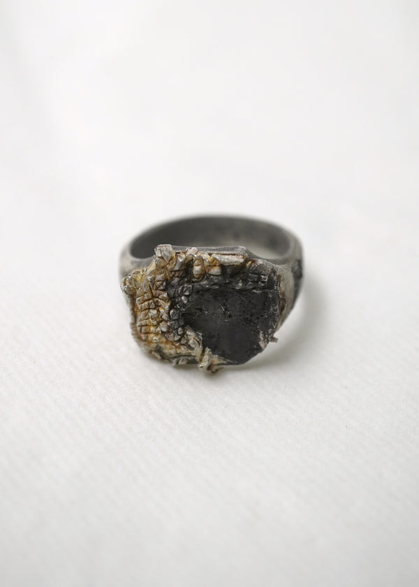 Silver Signet Ring - Signet I Dark