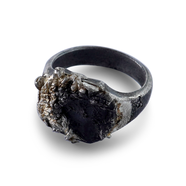 Black Silver Signet Ring - Signet I Dark