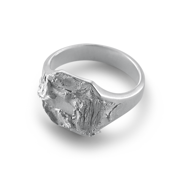 Matte Silver Signet Ring - Signet I Light